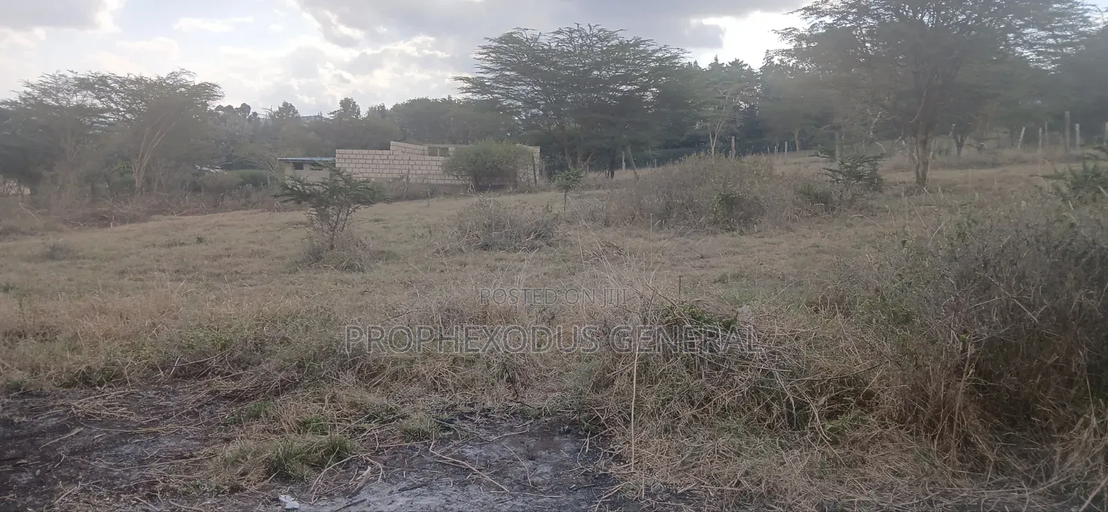 1/4 Plots for Sale in Ongata Rongai Nkoroi Kamura Oloika Road.