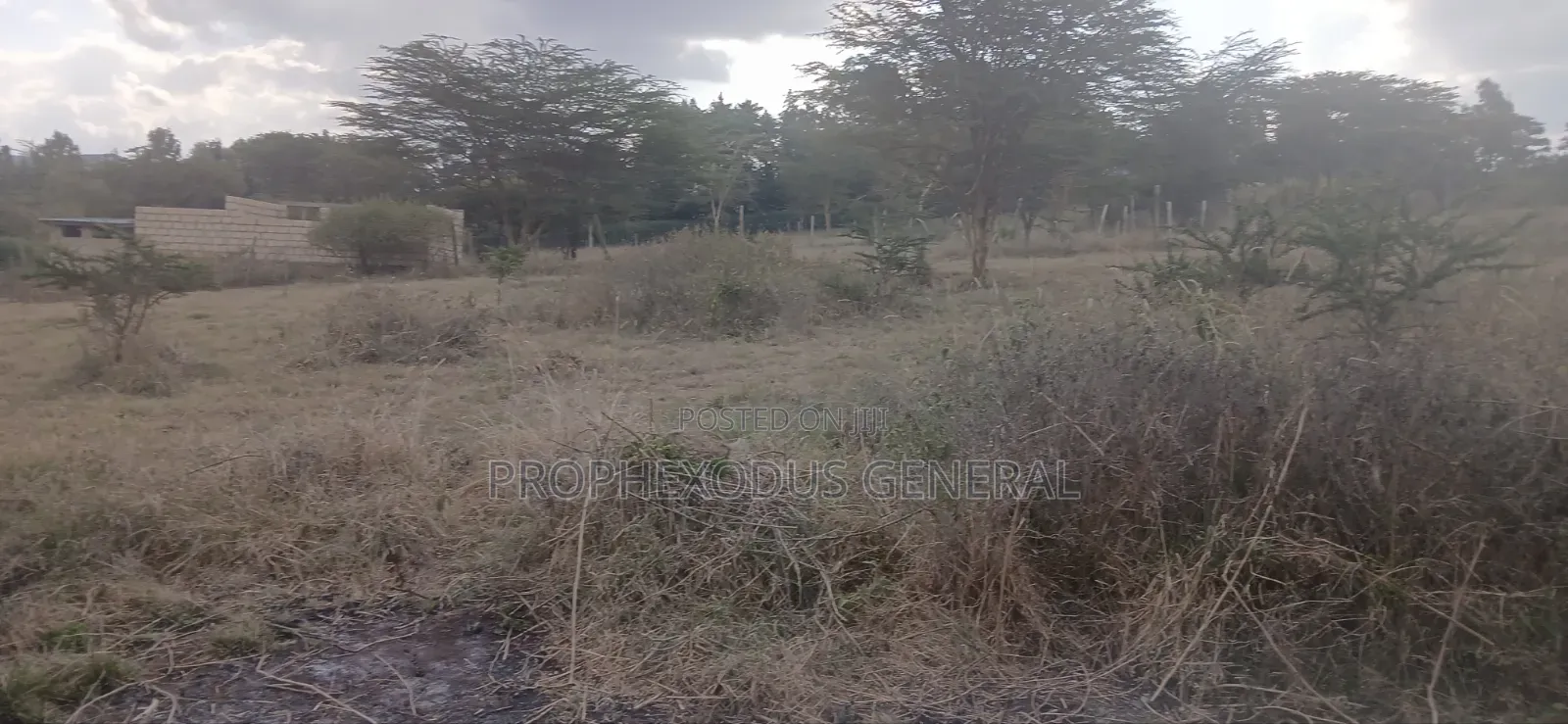 1/4 Plots for Sale in Ongata Rongai Nkoroi Kamura Oloika Road.
