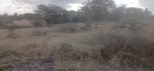 1/4 Plots for Sale in Ongata Rongai Nkoroi Kamura Oloika Road.