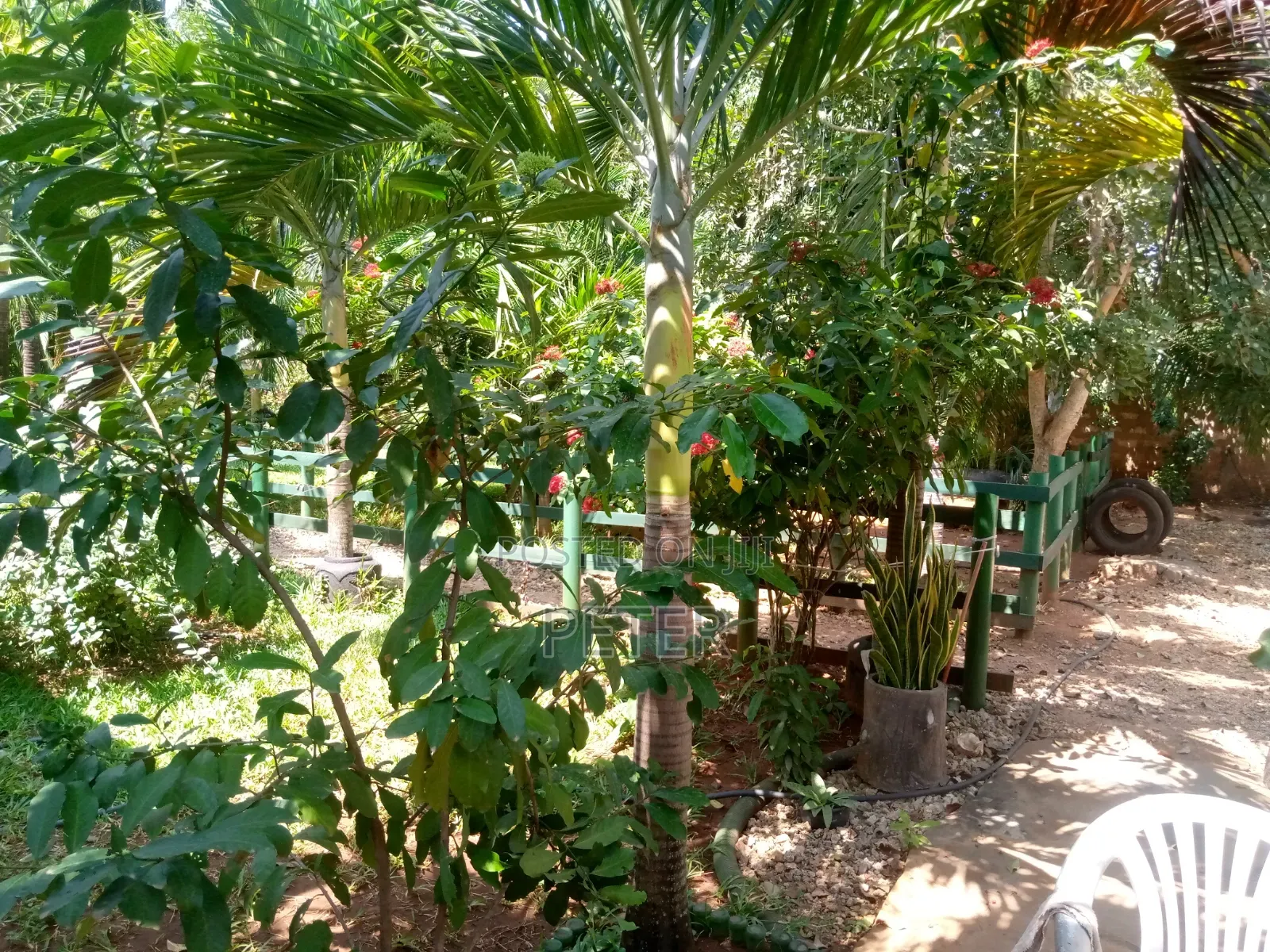 Furnished 1bdrm Bedsitter in Darad, Diani for rent