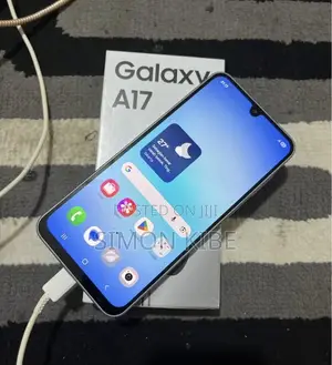 Samsung Galaxy A17 256 GB Silver