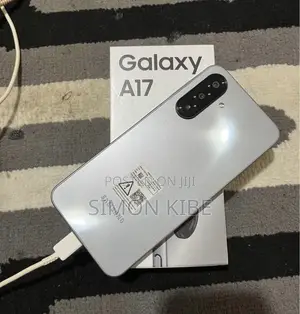 Samsung Galaxy A17 256 GB Silver