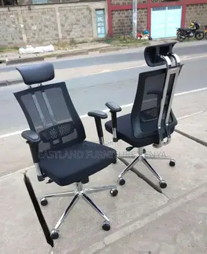 Premium Ergonomic Office Chair