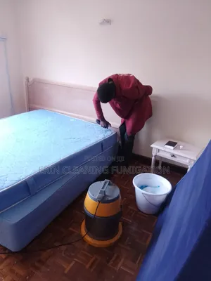 Mattress Cleaning and Fumigation Reliable Services