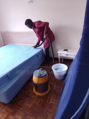 Fast Dry Mattress Cleaning
