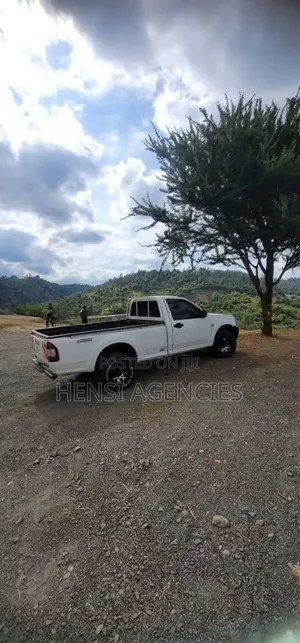 Isuzu D-MAX 2010 White