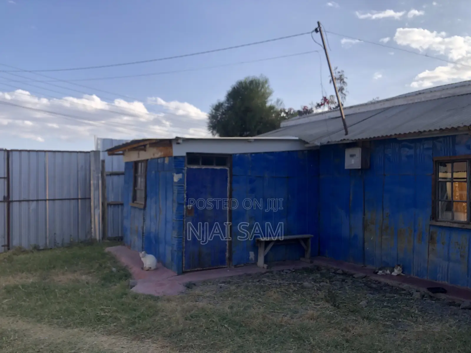 50*100 Plot for Sale