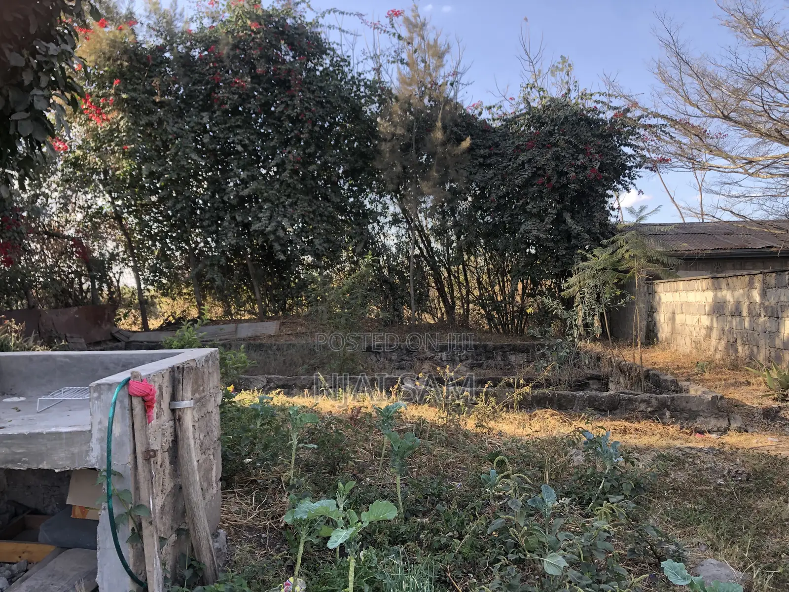 50*100 Plot for Sale