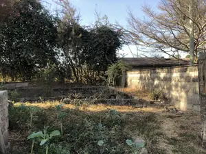 50*100 Plot for Sale