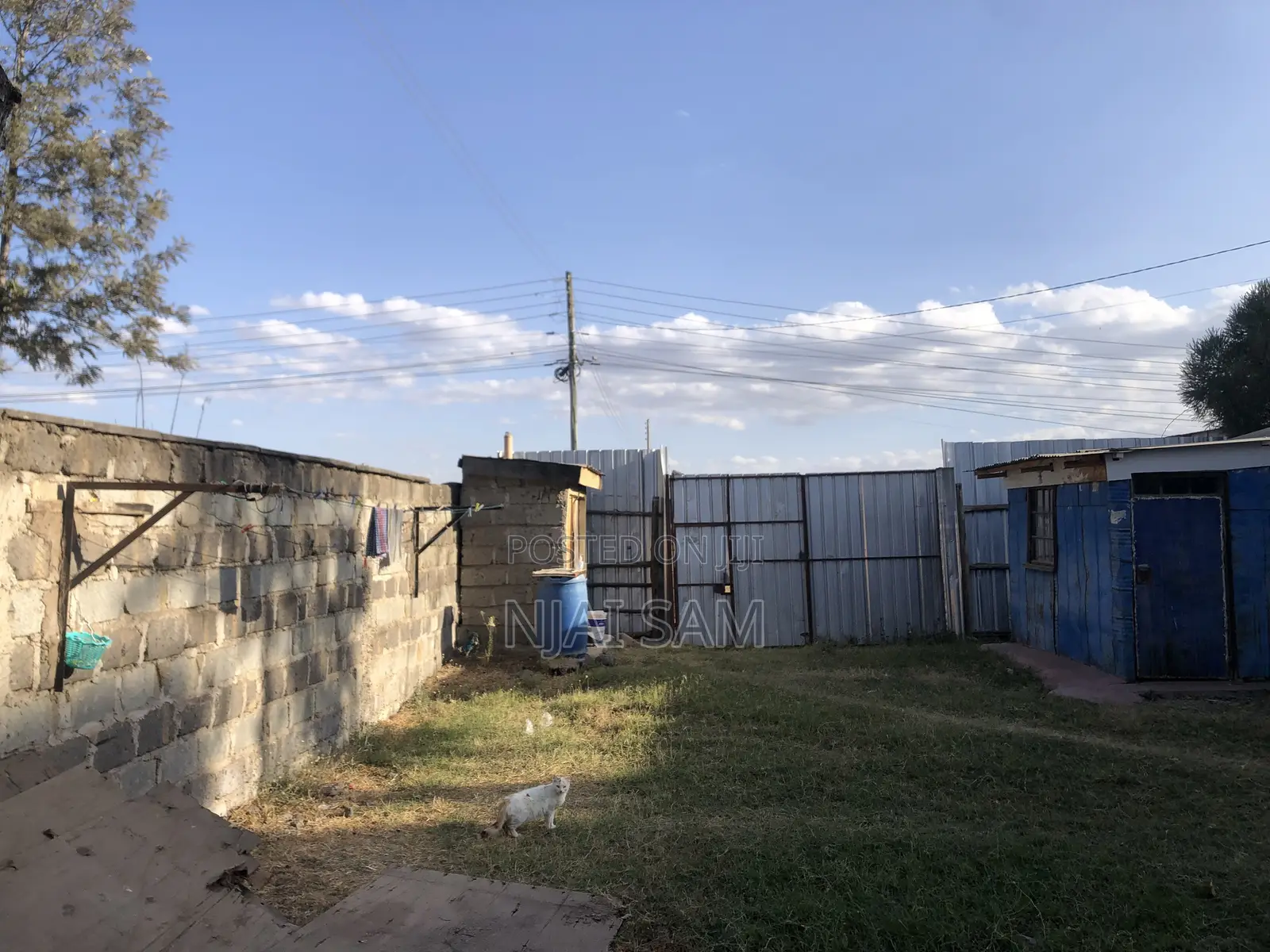 50*100 Plot for Sale