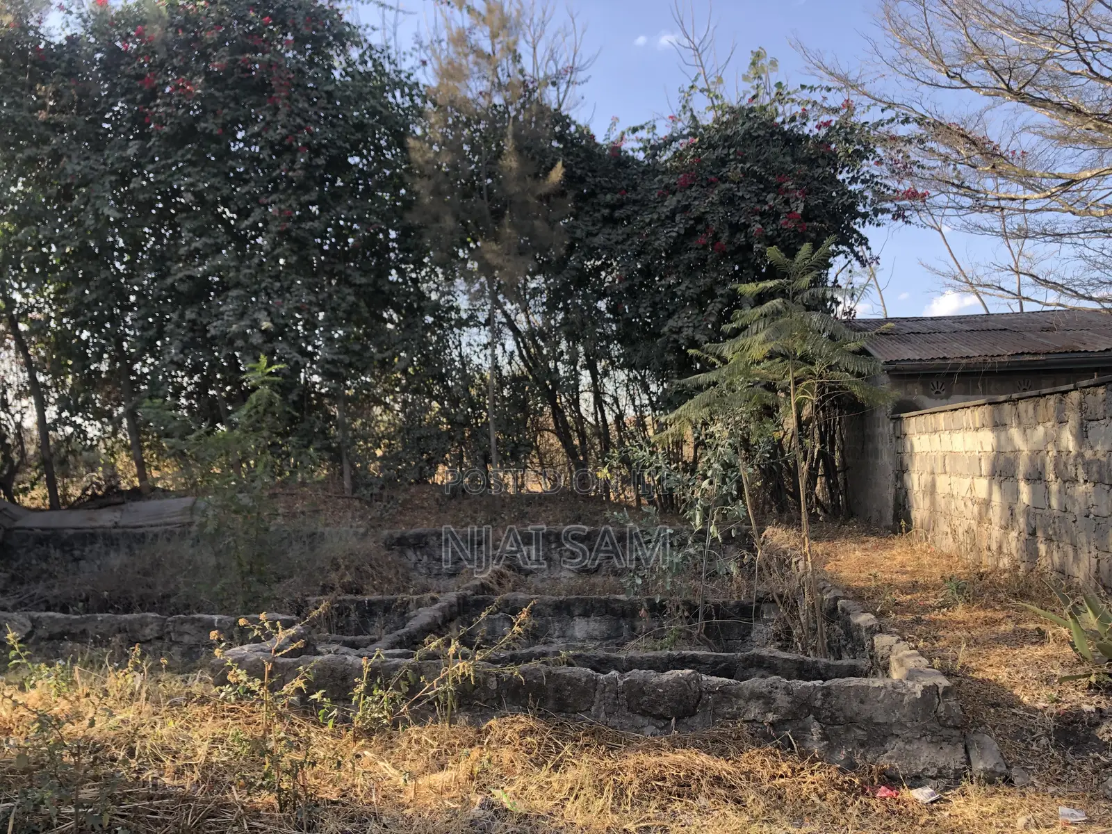 50*100 Plot for Sale