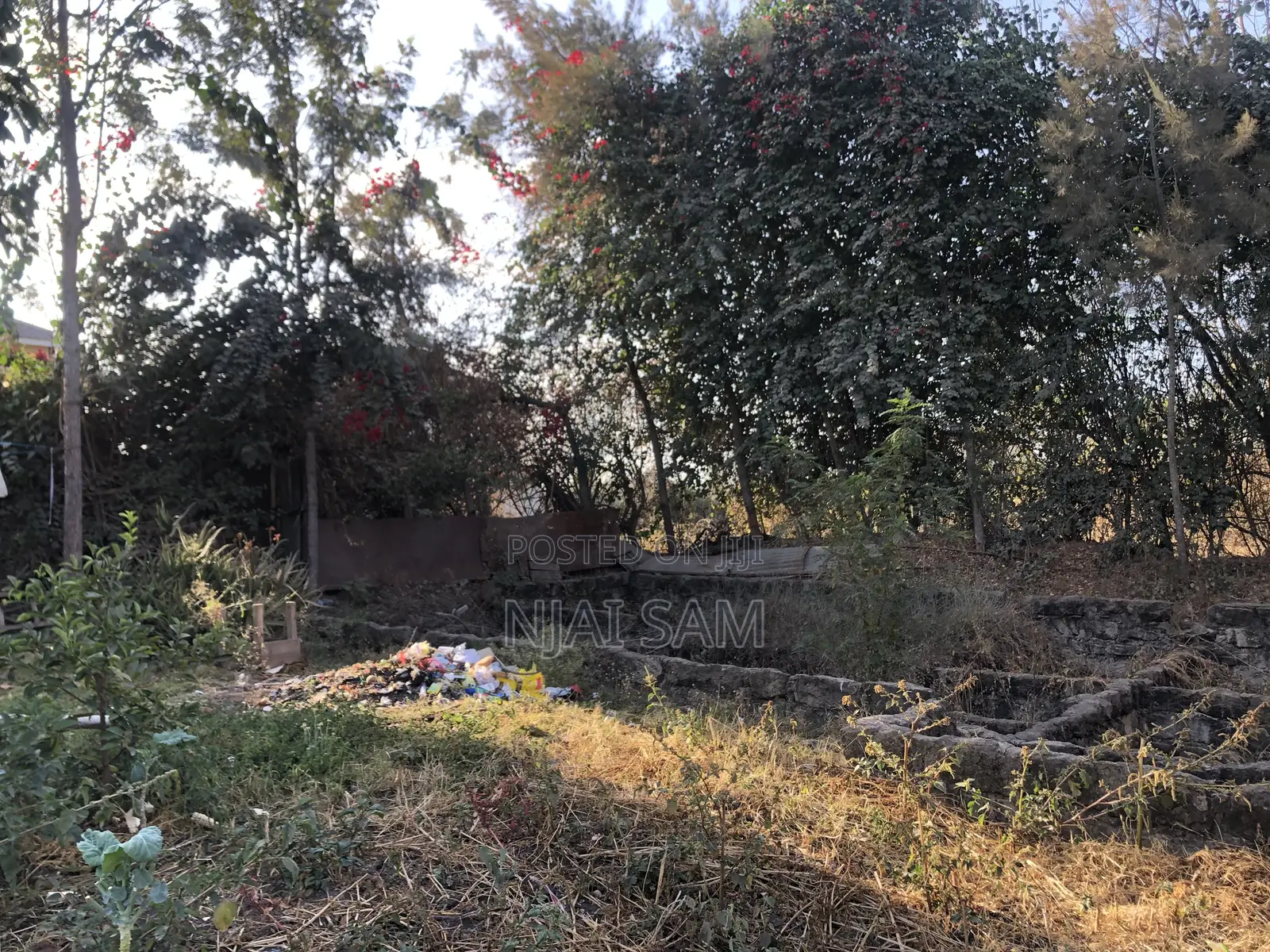 50*100 Plot for Sale