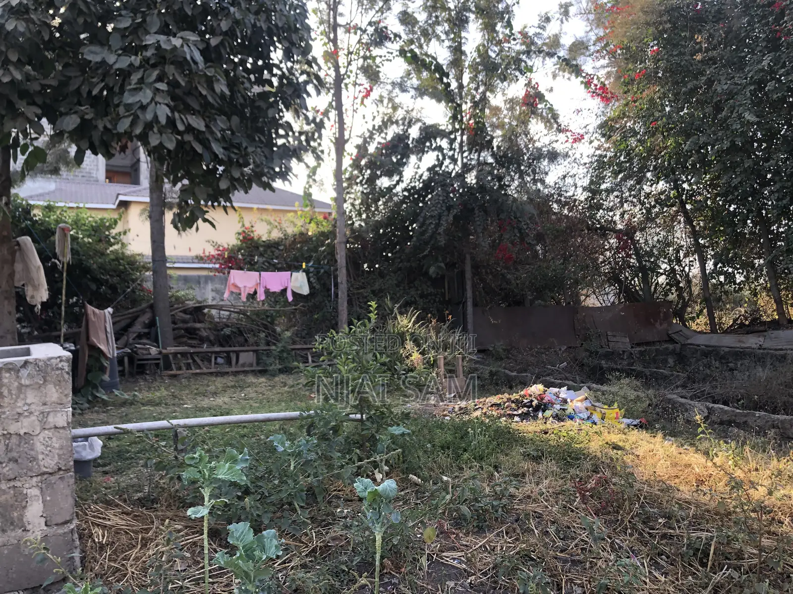 50*100 Plot for Sale