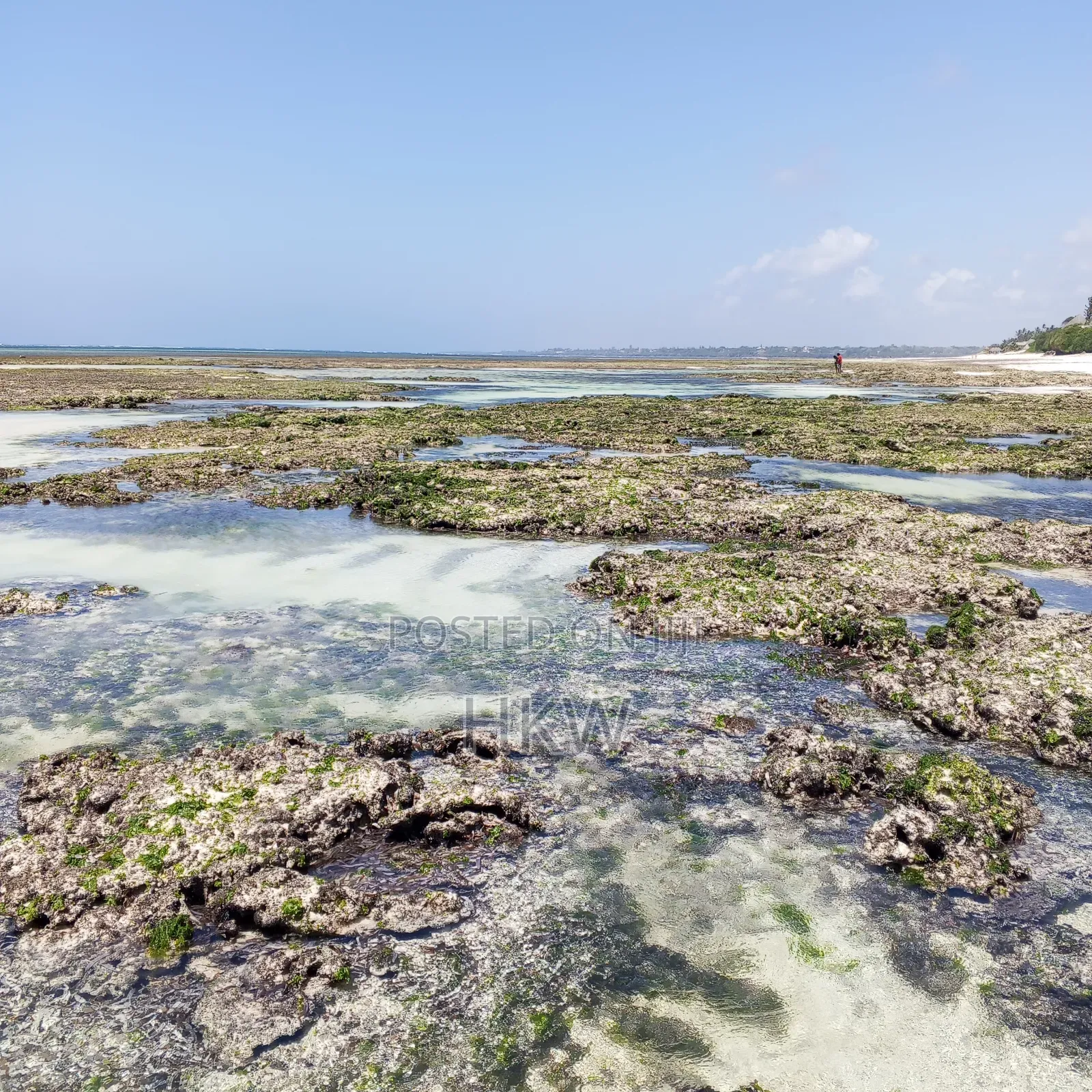 Malindi Ngomeni Beach Plot