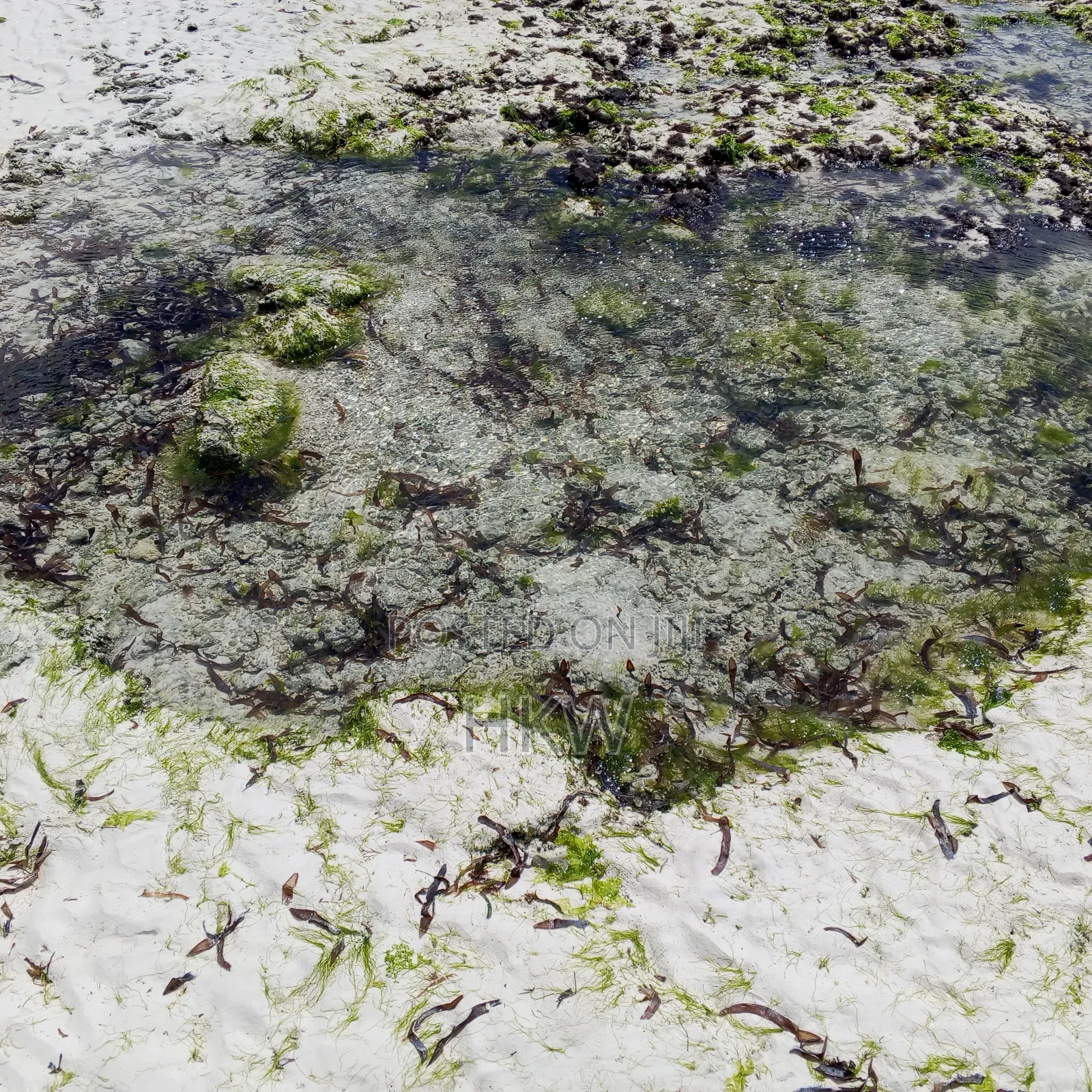 Malindi Ngomeni Beach Plot