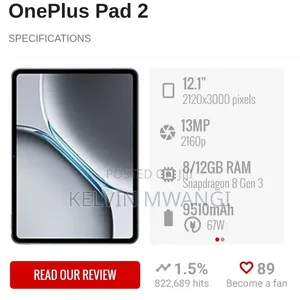 OnePlus Pad 2 256 GB Gray