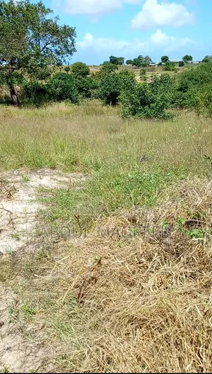 Land Is Legit and It Has Good Fertile for Agriculture.