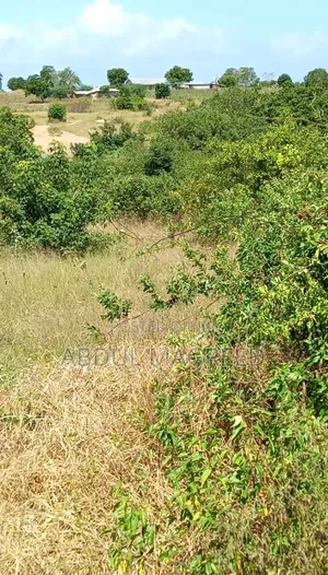Land Is Legit and It Has Good Fertile for Agriculture.