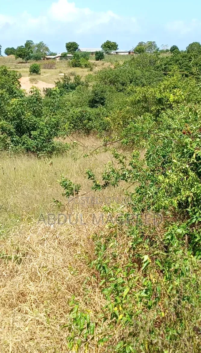 Land Is Legit and It Has Good Fertile for Agriculture.