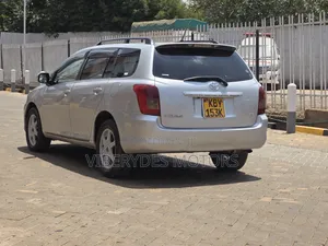 Toyota Corolla Fielder 2007 Silver