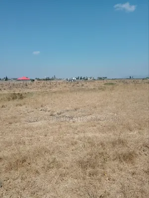 Kantafu 2 Acres Quick Sale Price.2.7M Per Acre.