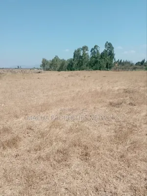 Kantafu 2 Acres Quick Sale Price.2.7M Per Acre.