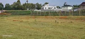 Full 1⁄4 Plot for Sale in Racecours Malel Behind Racecours School.