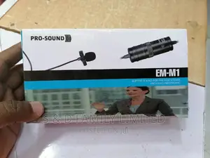Phone/Camera Microphone