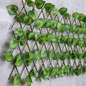 Green Fencing That Complements Modern Design With Melon Themes Leaves