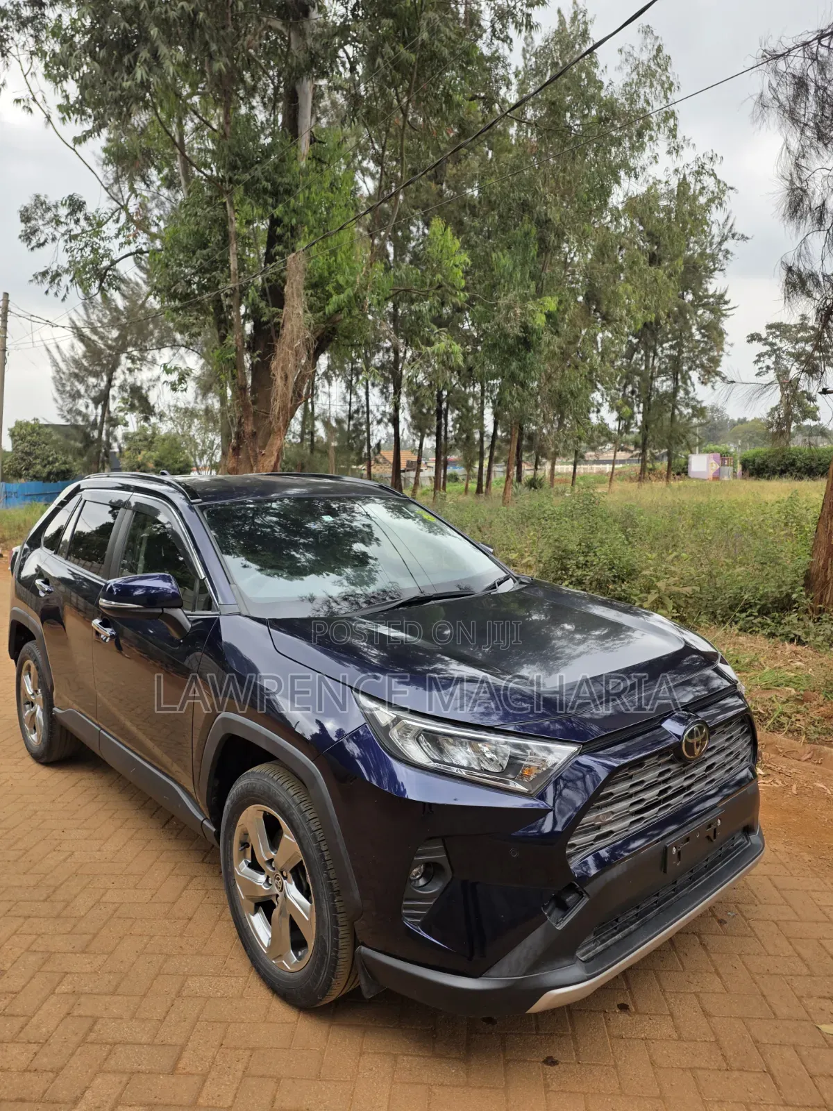 Toyota RAV4 2020 Blue