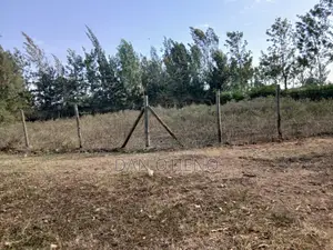Plot for Sale