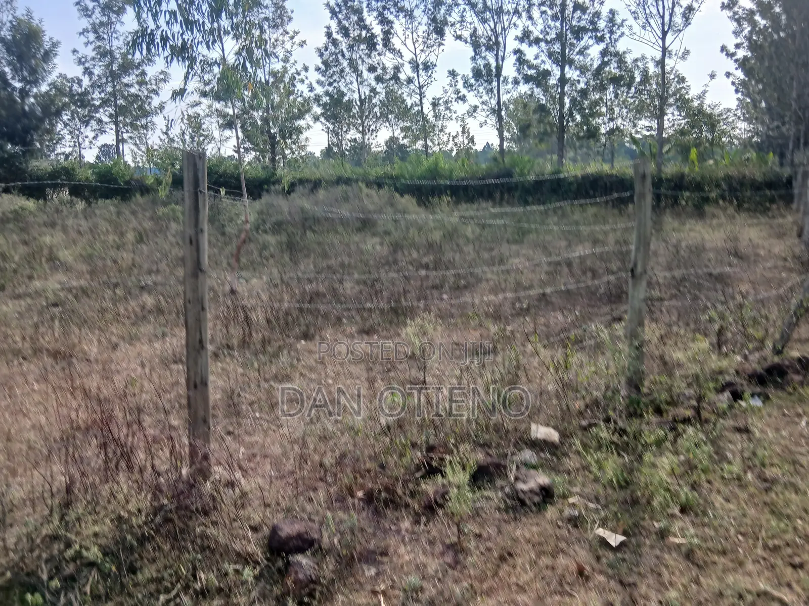 Plot for Sale