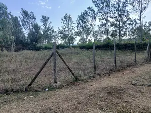 Plot for Sale