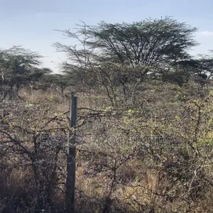 Prime 2 Acres in Tuala