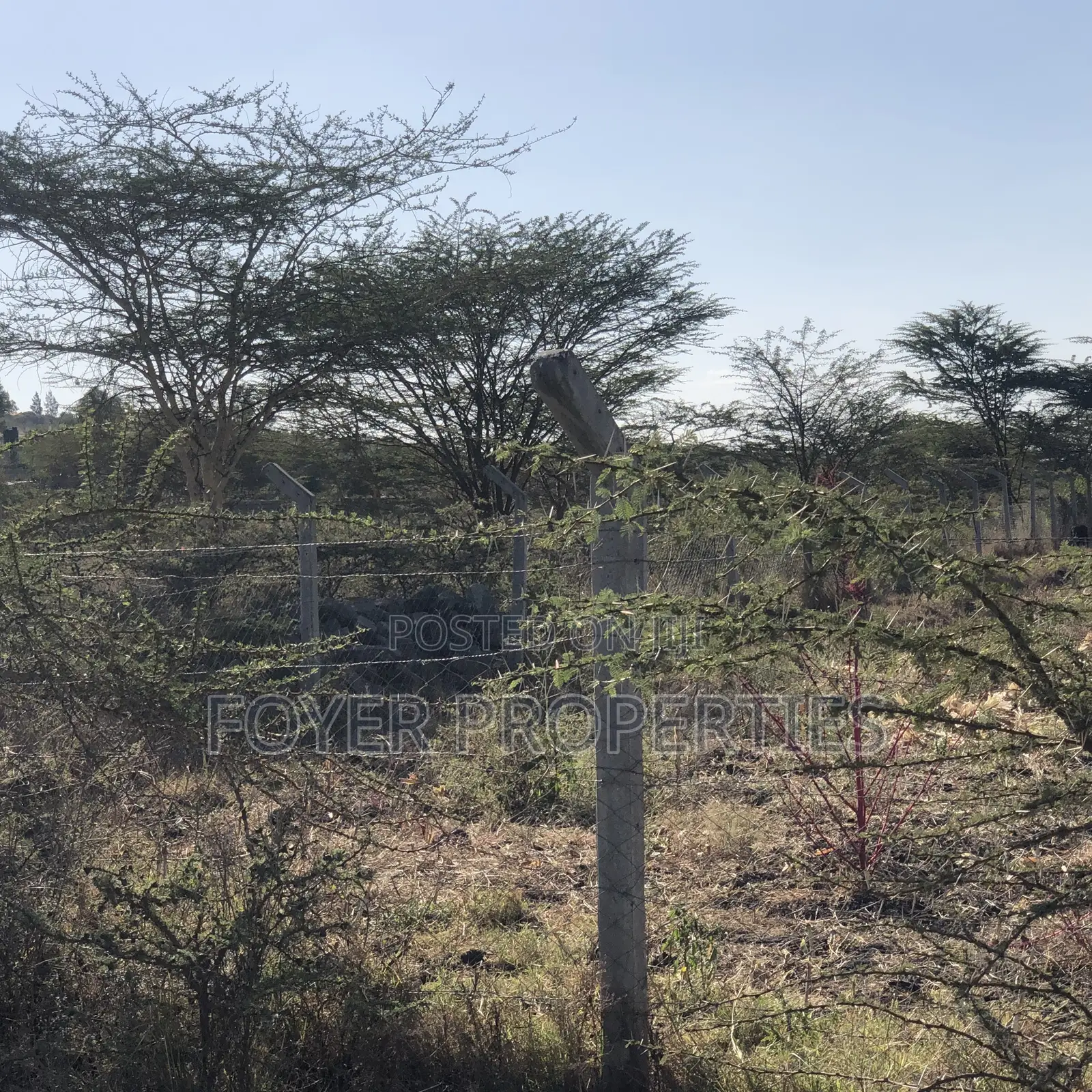 Prime 2 Acres in Tuala