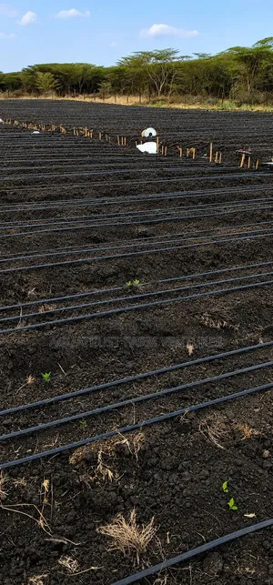Drip Irrigation Systems