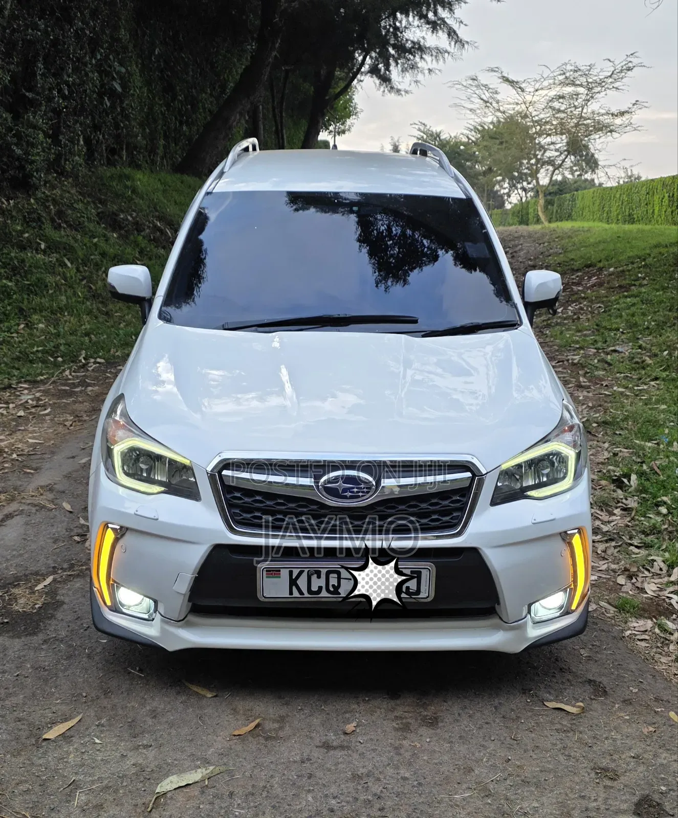 Subaru Forester 2013 Pearl