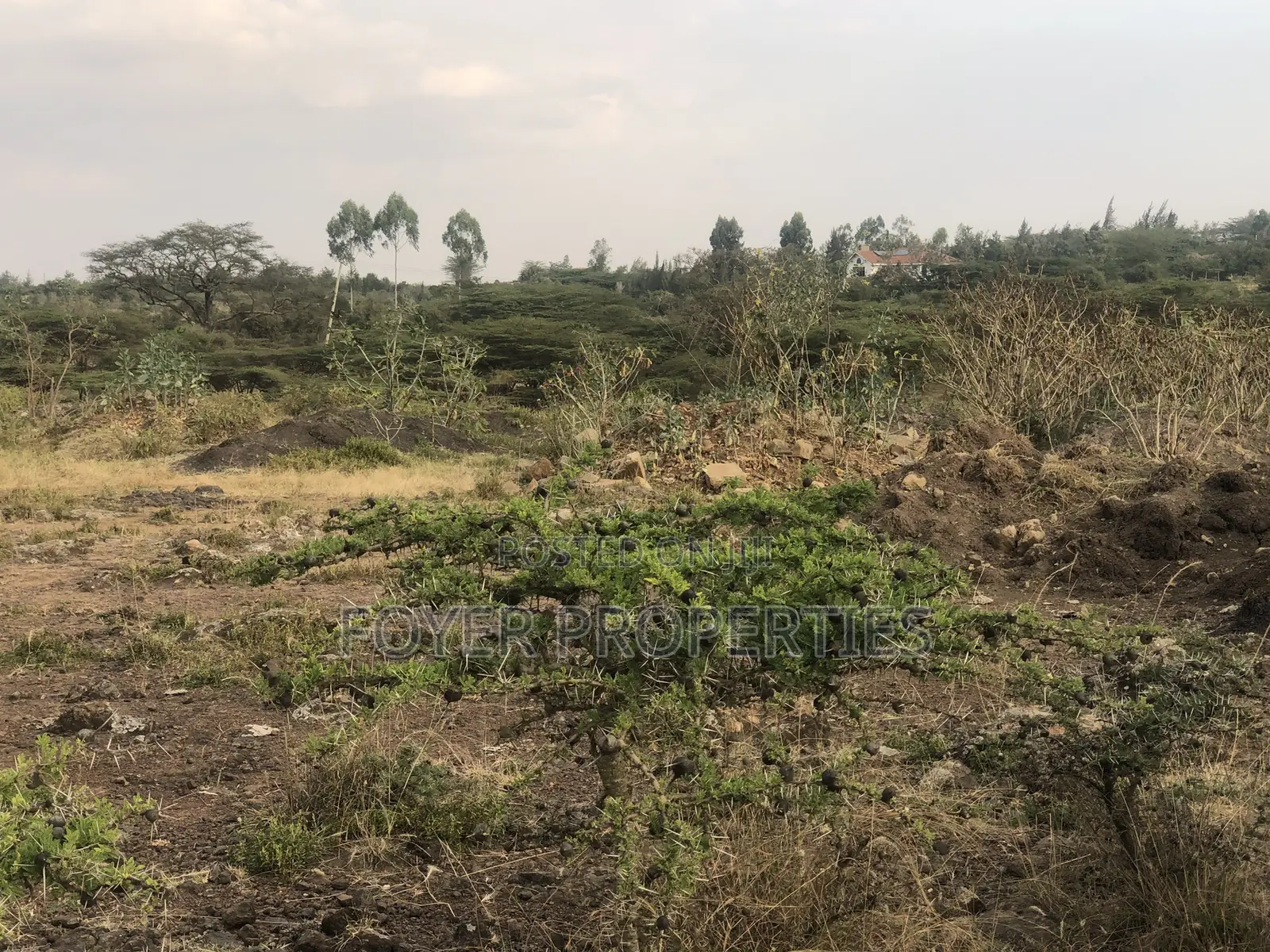 8 Acre Land in Tuala