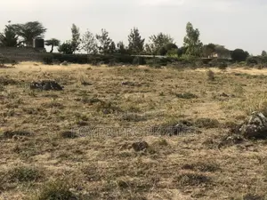 8 Acre Land in Tuala