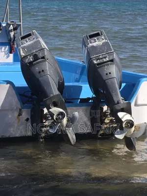 Yamaha 85hp 2-Stroke Outboard Motors