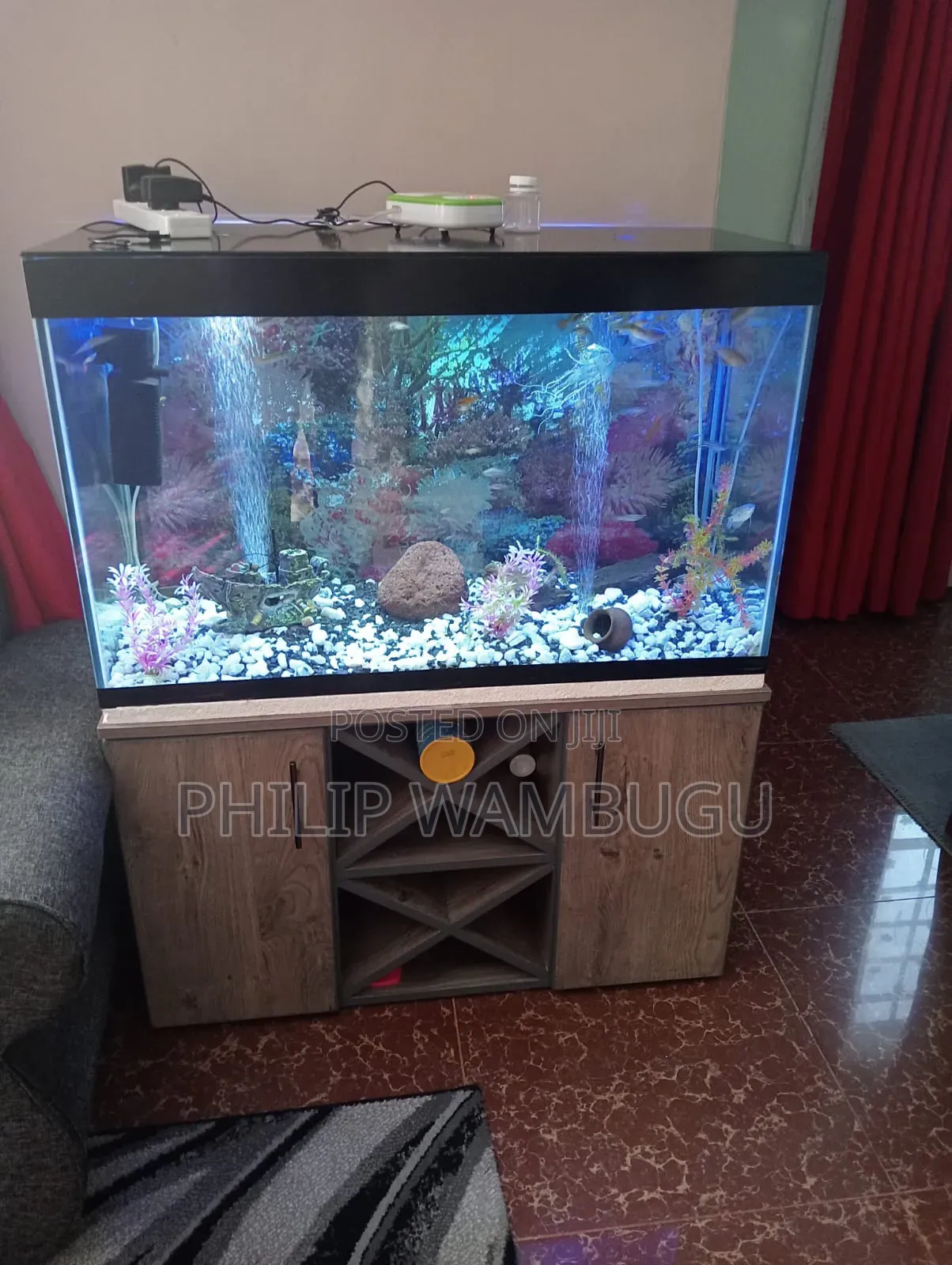 Aquarium and Fish