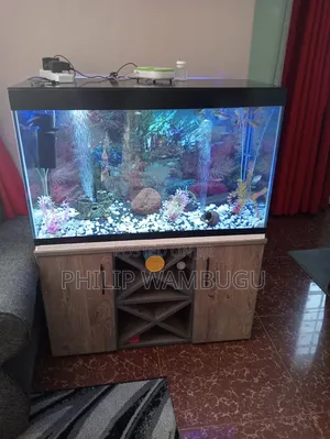 Aquarium and Fish