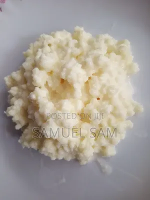 Kefir Grains