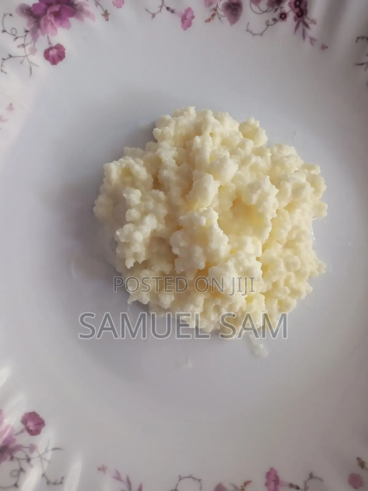 Kefir Grains