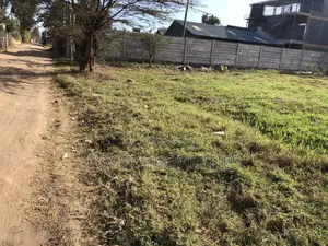 Commercial Plot
