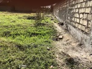 Commercial Plot