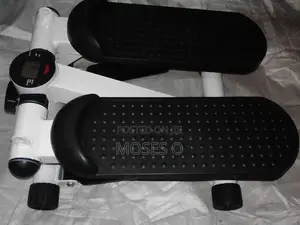 Mini Stepper Exercise Machine