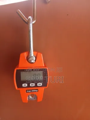 OCS Crane Scale
