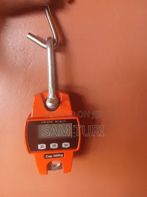 OCS Crane Scale