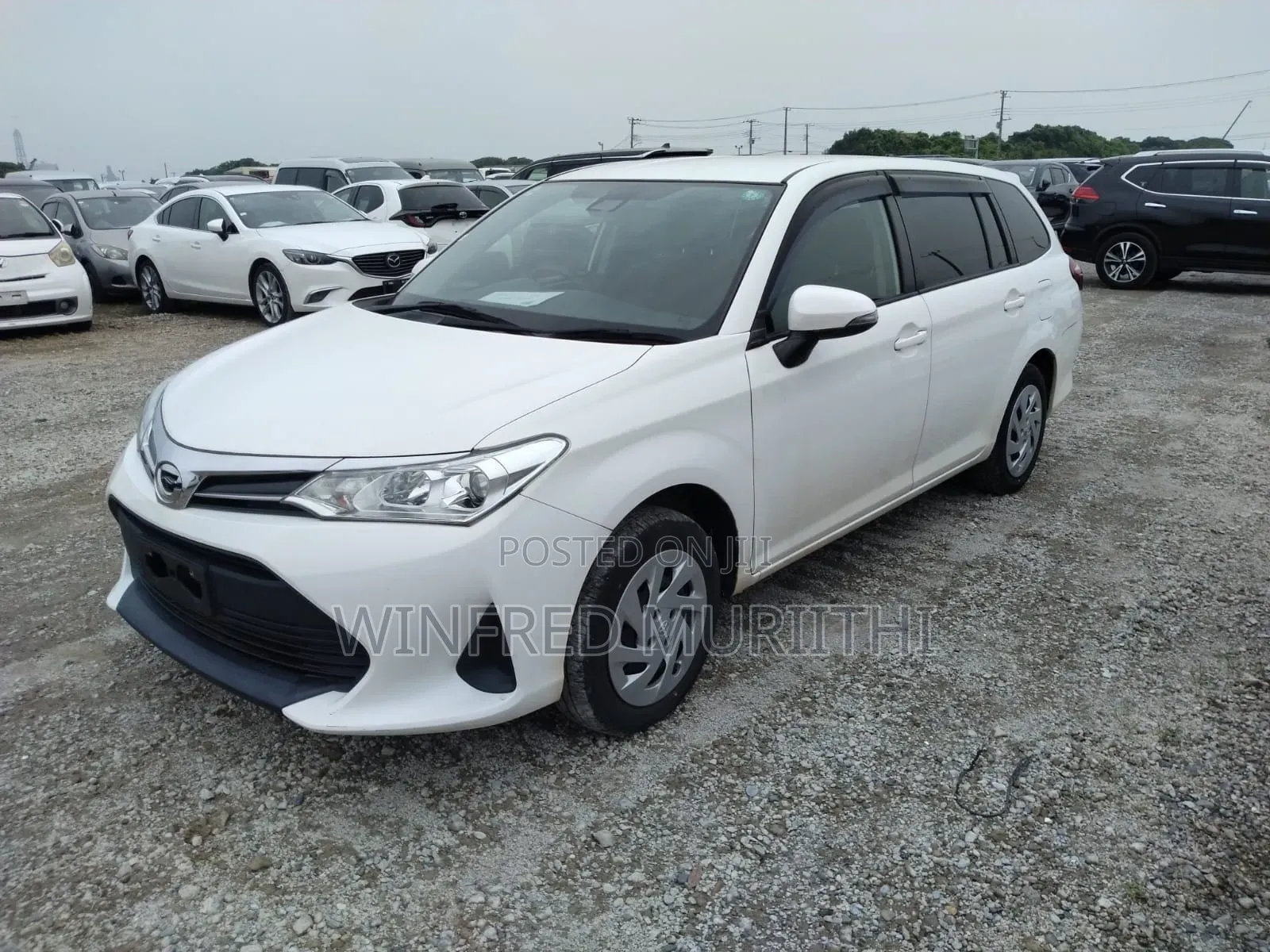 Toyota Corolla Fielder 2019 White